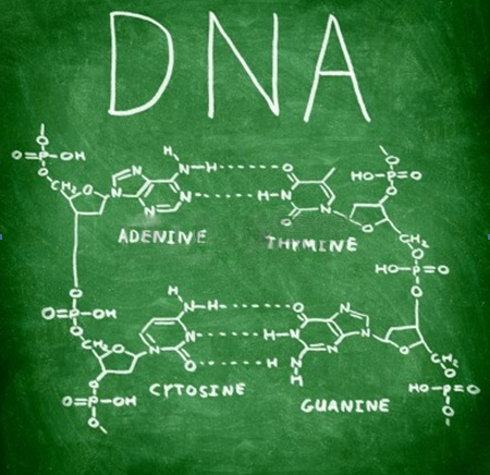 The 'I' and the DNA