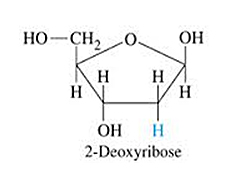 The 'I' and the DNA